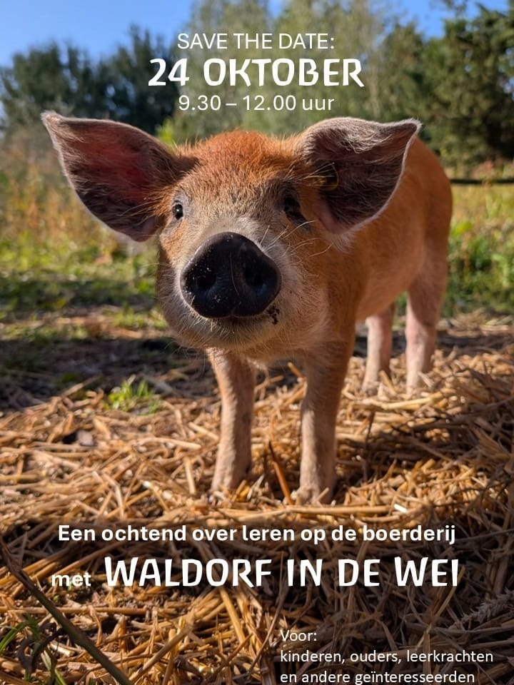 Waldorf in de wei!
